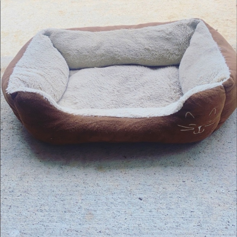 Cat bed 🐈